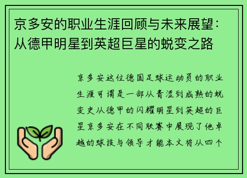 京多安的职业生涯回顾与未来展望：从德甲明星到英超巨星的蜕变之路